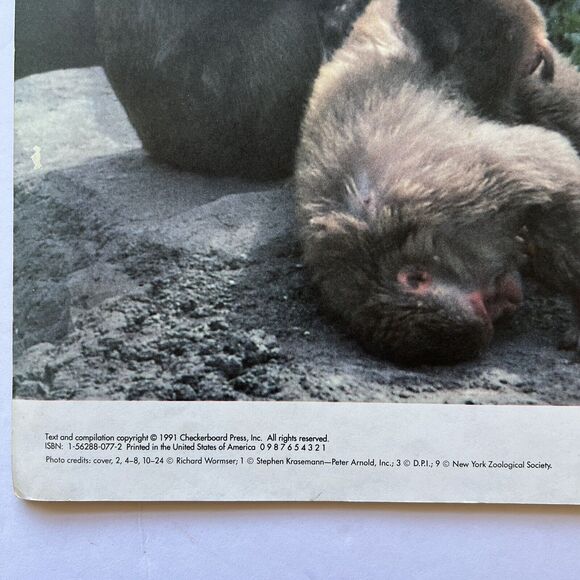 Lot of 4 Childrens Books Paperback Educational Non Fiction Animals Outer Space - Picture 3 of 12